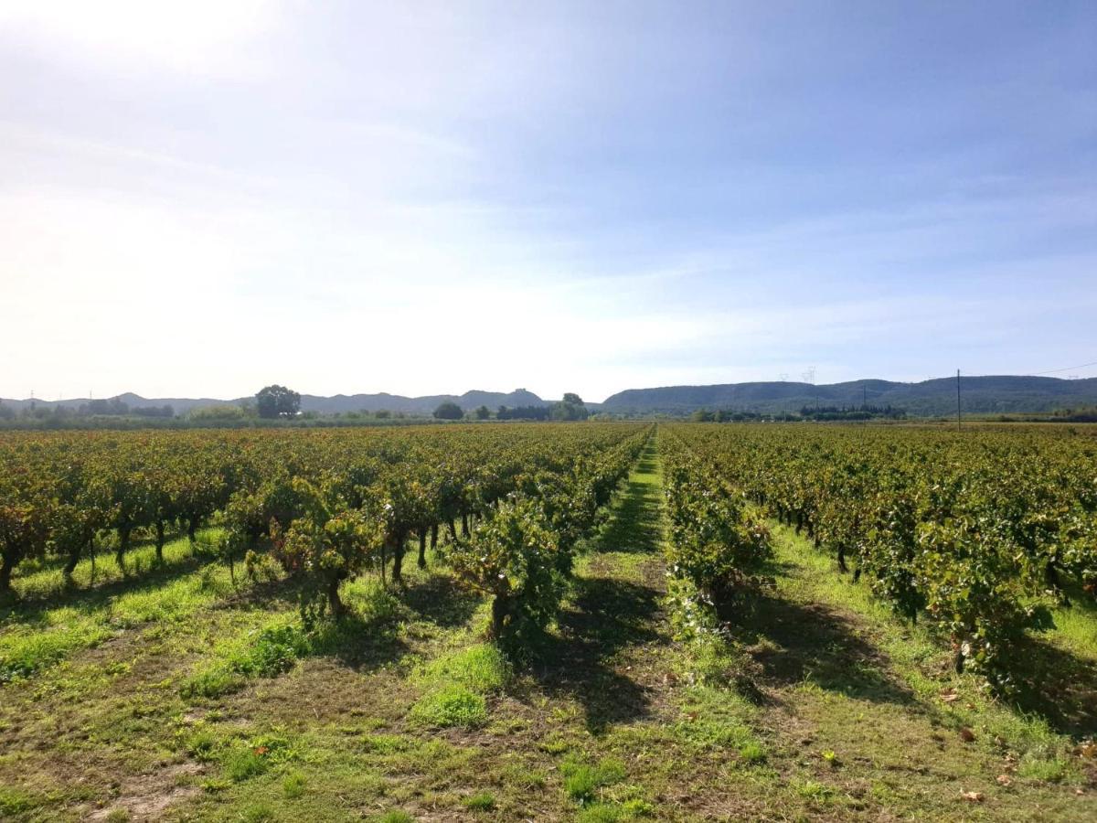 Domaine De Sevanes Saint-Paul-les-Fonts Bagian luar foto