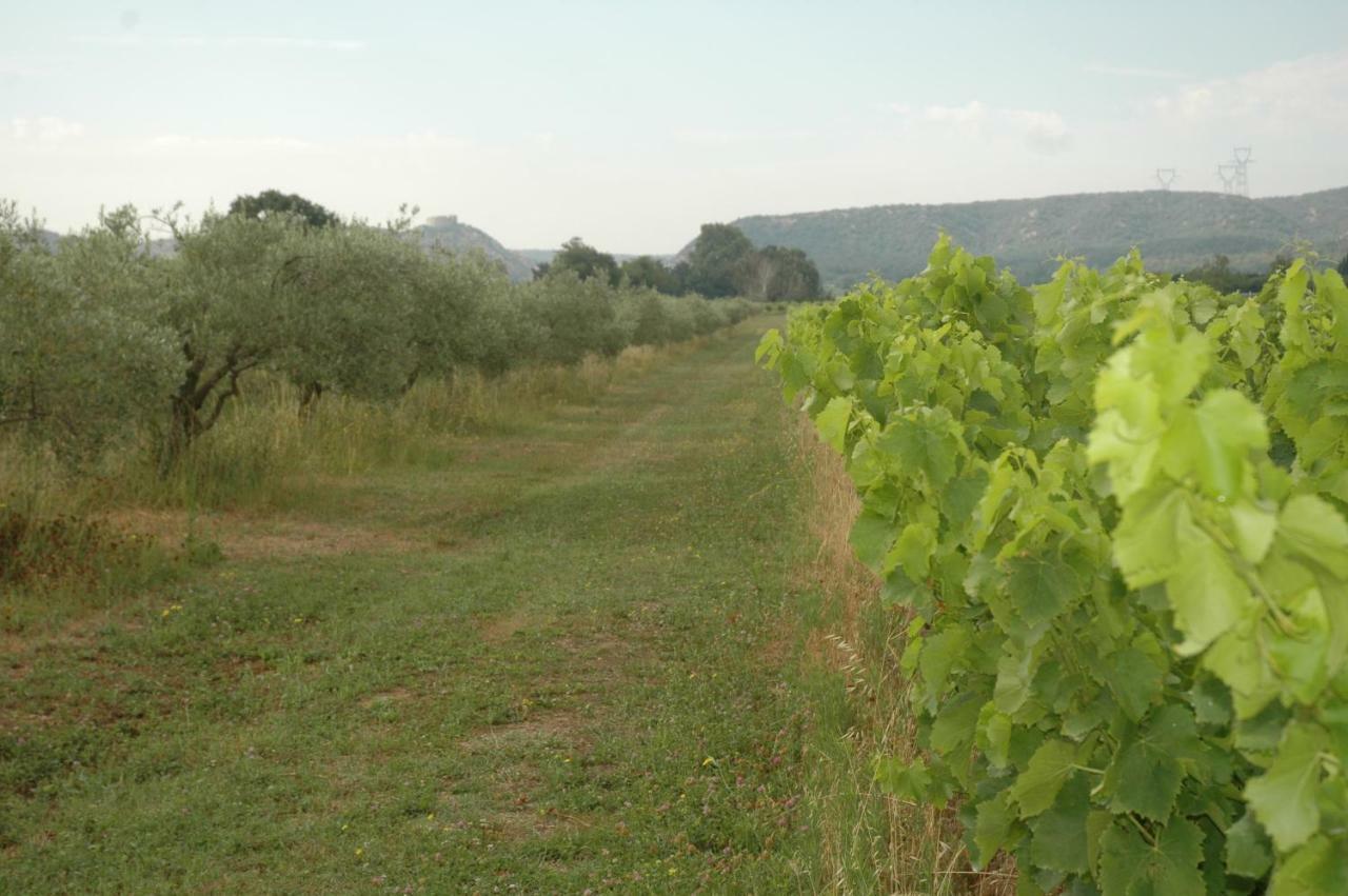 Domaine De Sevanes Saint-Paul-les-Fonts Bagian luar foto